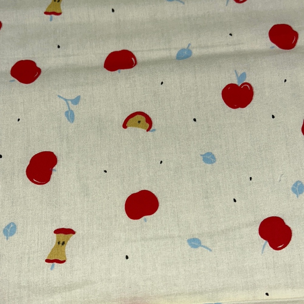 Premium Organic Cotton. Jenny Ronen for Birchfabrics “Whistle”. 39”L x 4…
